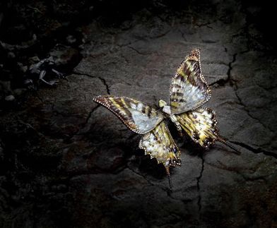 在雕刻珠宝前,陈世英会事先找大量的玻璃不断重复锻炼。